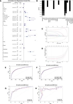 Dynamic Predictive Models With Visualized Machine Learning for Assessing Chondrosarcoma Overall Survival